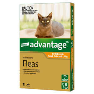 ADVANTAGE SMALL CAT 0-4KG 6PACK