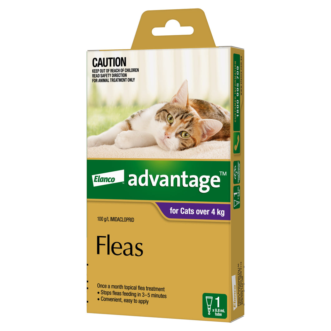 ADVANTAGE LARGE CAT OVER 4KG 1PACK