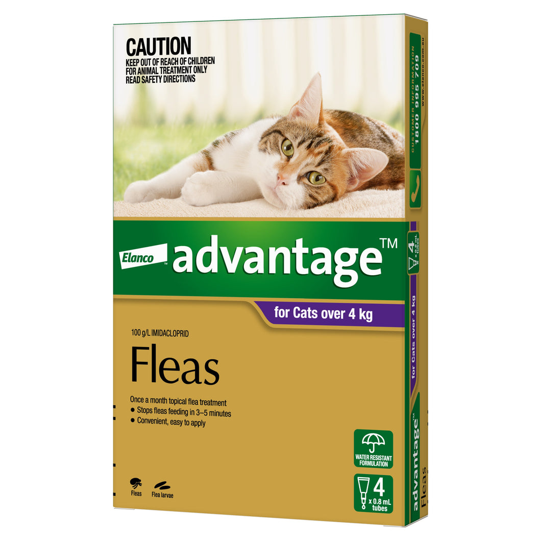 ADVANTAGE LARGE CAT OVER 4KG 4PACK