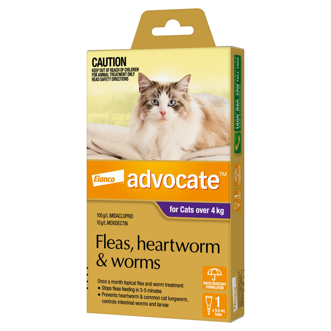 ADVOCATE CAT LARGE PURPLE OVER 4KG 1PACK