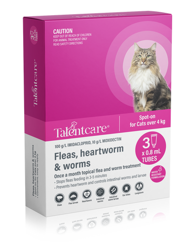 TALENTCARE CAT SPOTON OVER 4KG 3PK