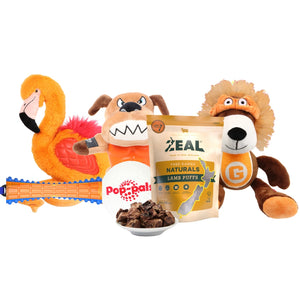 GIGWI DOG BUNDLE ORANGE