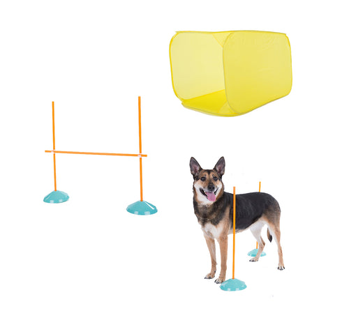 OUTWARD HOUND ZIPZOOM AGILITY KIT INDOOR