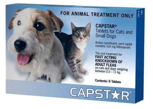 CAPSTAR 11MG CATS/SMALL DOG BLUE 6TAB