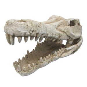 ULTIMATE REPTILE SUPPLIERS CROC SKULL XLARGE