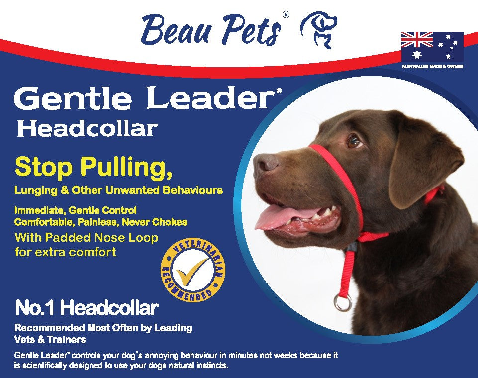 GENTLE LEADER HEADCOLLAR LARGE BLUE