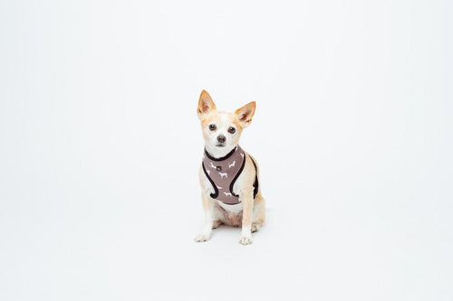 MOG AND BONE NEOPRENE HARNESS MOCCA DOG XL