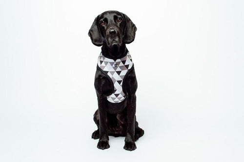 MOG AND BONE NEOPRENE HARNESS MOCCA DIAMOND LARGE