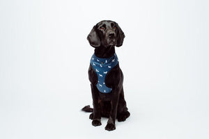 MOG AND BONE NEOPRENE HARNESS BLUE DOG XL