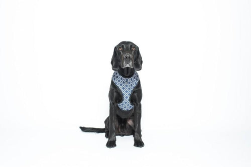 MOG AND BONE NEOPRENE HARNESS NAVY IKAT LARGE