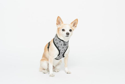 MOG AND BONE NEOPRENE HARNESS GREY IKAT MEDIUM