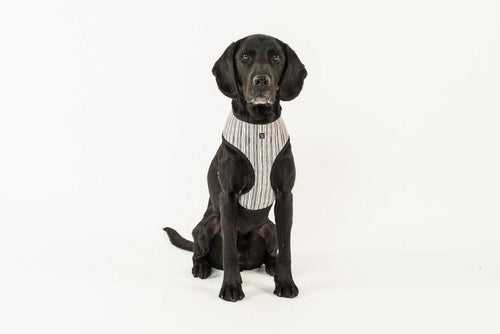 MOG AND BONE NEOPRENE HARNESS OATMEAL STRIPE SMALL