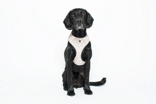 MOG AND BONE NEOPRENE HARNESS OATMEAL DOG SMALL