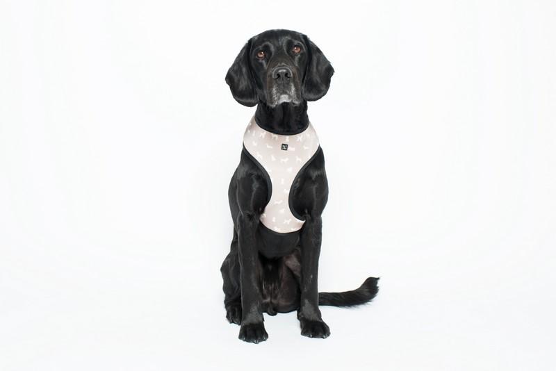 MOG AND BONE NEOPRENE HARNESS OATMEAL DOG XL