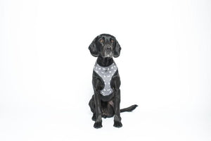 MOG AND BONE NEOPRENE HARNESS GREY DOG SMALL