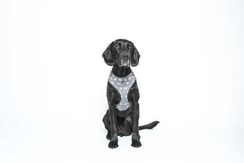 MOG AND BONE NEOPRENE HARNESS GREY DOG XXL