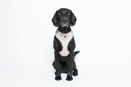 MOG AND BONE NEOPRENE HARNESS OATMEAL CROSS MEDIUM