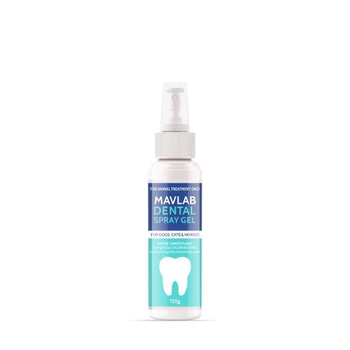 FIDOS DENTAL SPRAY GEL 125G P2100