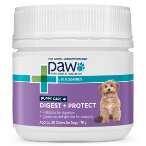 PAW Digest Protect Puppy Care 75g