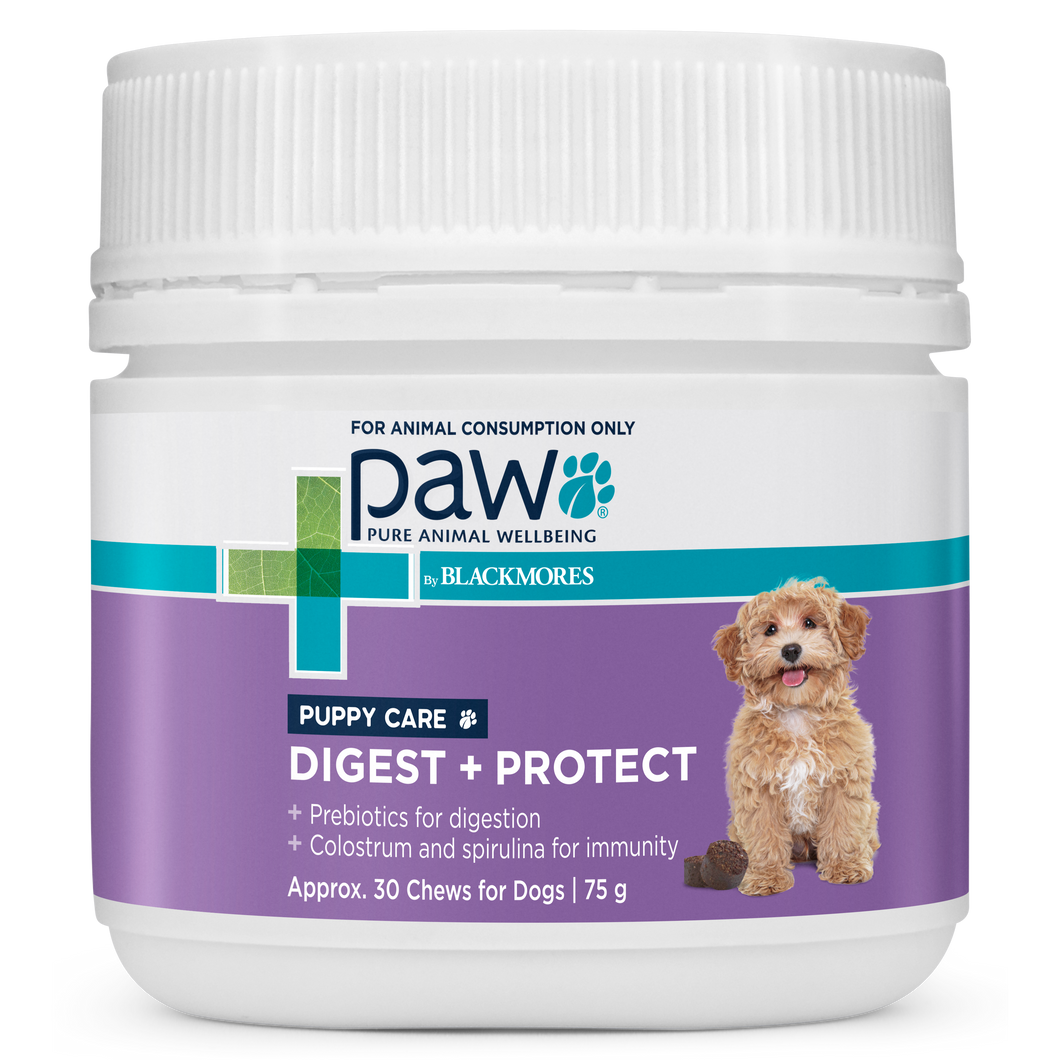 PAW Digest Protect Puppy Care 75g