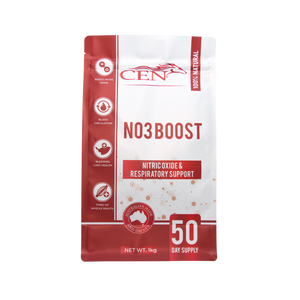 CEN NO3 BOOST 1KG